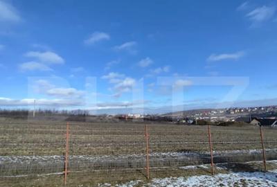 Teren în Ciurea - 2