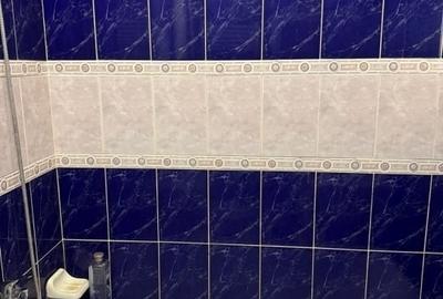 Apartament cu 1 camera - zona Centru Istoric - Stefan cel Mare - Pet Friendly - 13