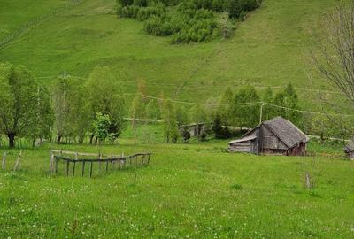 Teren de 1000 mp, în Fundata - 2