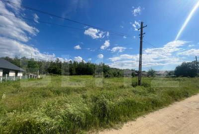 Teren intravilan 800 mp, zona Leamna de Sus - 6