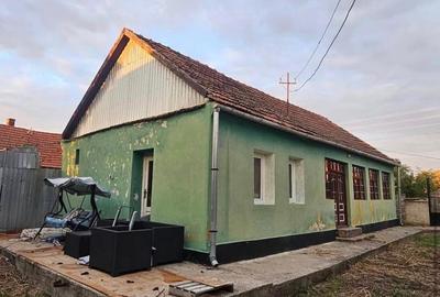 Casă cu 4 camere cu Teren 4500 Mp în Bâlc - 5
