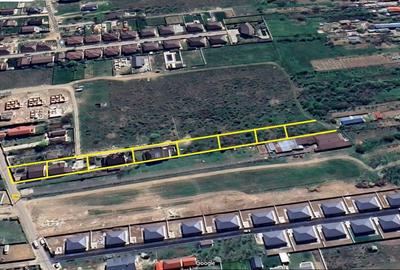 Domnesti - Ciutaci, vanzare 4 loturi de teren intravilan Domnesti - Ciutaci, vanzare 4 loturi de teren intravilan - 6