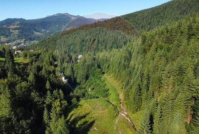 Teren agricol extravilan de 2895 mp, în Nord - 5