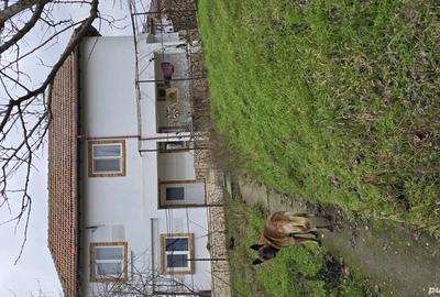 Casa de vanzare Babadag - 1