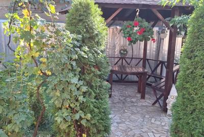 Vand casa caramida an 2000 - 6