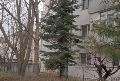 Apartament cu 3 camere semidecomandat în Exterior Vest - 2