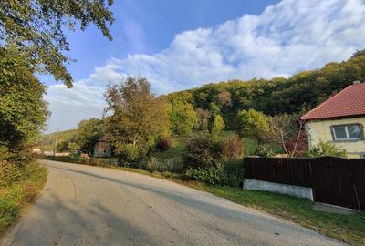 Casă cu 4 camere cu Teren 7000 Mp în Almașu Mare - 2