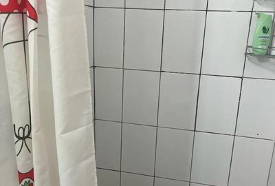 Garsonieră decomandată în Ultracentral - 3