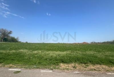 Teren Construcții intravilan de 15000 mp, în Snagov - 5