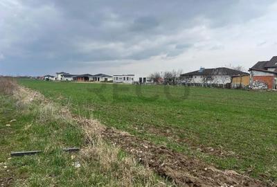 Teren de 14130 mp, în Sânmartin - 4