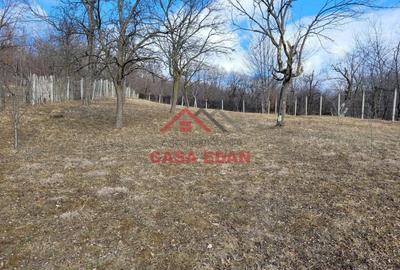 Casă cu Teren 2991 Mp în Cornu - 6