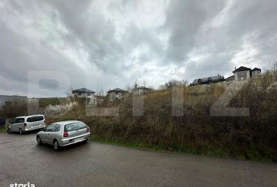 Spațiu comercial, în Bucium