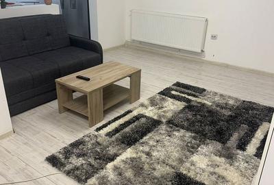 Apartament cu 2 camere în Craiovița Nouă - 4