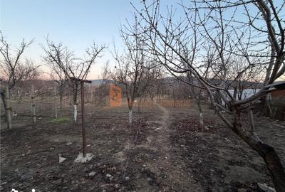 Casă cu 3 camere decomandat cu Teren 1000 Mp în Cernătești - 13
