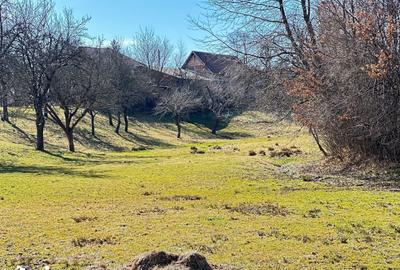 Teren de 10660 mp, în Bran - 8