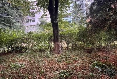 Apartament 2 camere, parter, 53,72 mp, renovat, Tătărași, Dr. Savini Apartament 2 camere, parter, 53,72 mp, renovat, Tătărași, Dr. Savini - 7