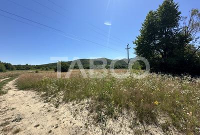 Teren extravilan 1900 mp cu utilitati in apropiere pe Valea Sebesului - 2