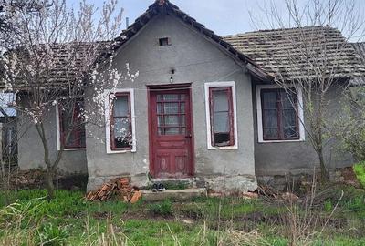 Casă cu Teren 2000 Mp în Plenița - 2