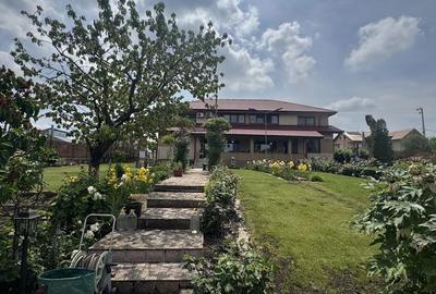 Casă cu Teren 1210 Mp în Mogoșoaia - 5