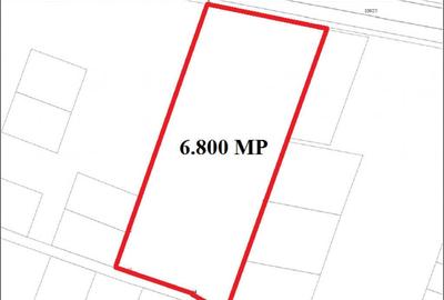 Teren de 6800 mp, în Micălaca - 3