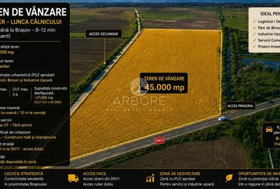 Teren Construcții intravilan de 45000 mp, în Prejmer - 7