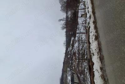 Spațiu comercial, în Petriș - 3