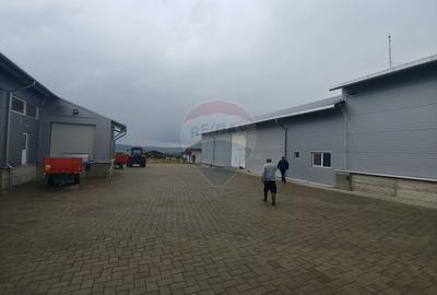 Spatiu industrial-depozit de 292mp de inchiriat in Dumbraveni, SV - 3