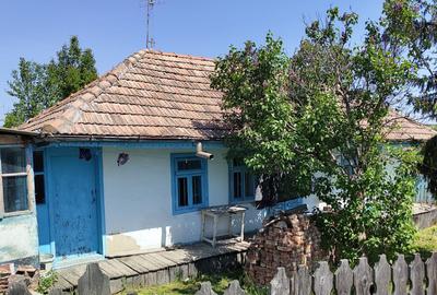 Casa si teren sat Epureni (Duda-Epureni), Vaslui - 8