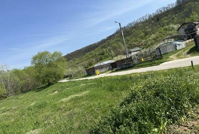 Spațiu comercial, în Leamna de Sus - 7