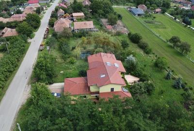 Casa cu teren 4800 mp si multiple posibilitati in Tureni - 19