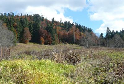 Predeal-Teren intravilan situat in Paraul Rece - 3