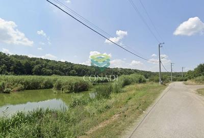 Teren 800mp Vadu Anei | Branesti | Langa Lac si Padure | Rezidential - 6