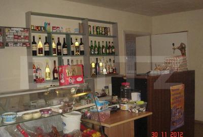 Casă cu 2 camere cu Teren 5600 Mp în Central - 12