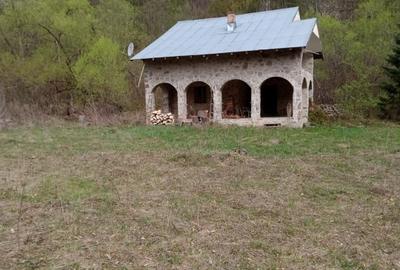 Casă individuală cu 5 camere cu Teren 30283 Mp în Tarcău - 3