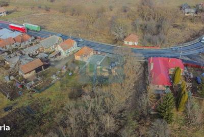 Spațiu comercial, în Păniceni - 5