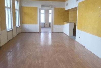 Inchiriez Casa cu flori , ultracentral in Timi?oara - 10
