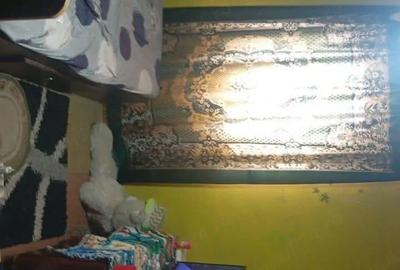 Casă cu 6 camere cu Teren 6000 Mp în Mircea Vodă - 3