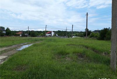 Teren de 11438 mp, în Hințești - 2