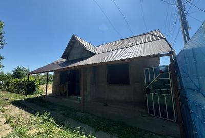 Casa la tara Casa la tara - 9