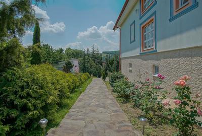 Casă individuală cu 12 camere în Moacșa - 6