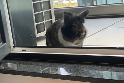 Novum Politehnica Iuliu Maniu | 2Min Walk Poli Metro | 600EUR+VAT | MS077-Poli - 31