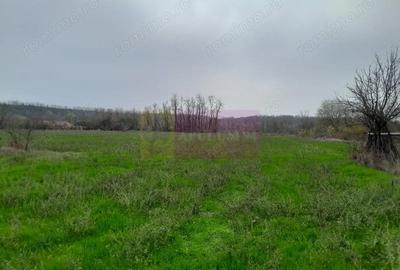 Casă cu 3 camere cu Canalizare în Bărcănești - 7