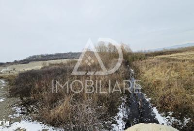 Teren de 1275 mp, în Turcinești - 1