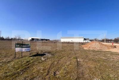 Teren de 12418 mp, în Cârcea