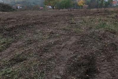 RECO . Teren in Podgoria . RECO . Teren in Podgoria . - 3