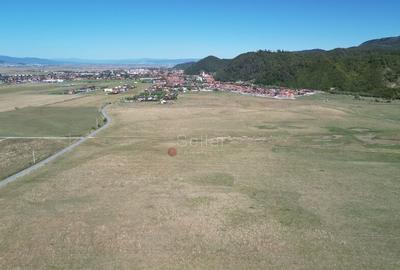 Teren extravilan Rasnov - 14