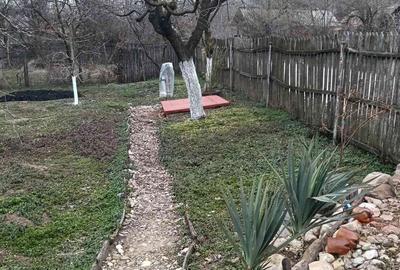 Casă cu 2 camere cu Teren 2800 Mp în Boțești - 13