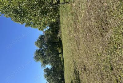 Vand casa cu teren intravilan - 1