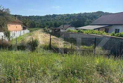 Teren 2280 mp, zona Balesti - 1