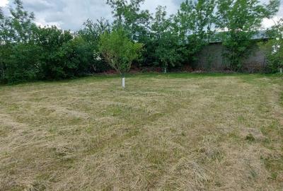 Teren intravilan de vânzare | 900 mp | Movila | Toate utilitatile - 2